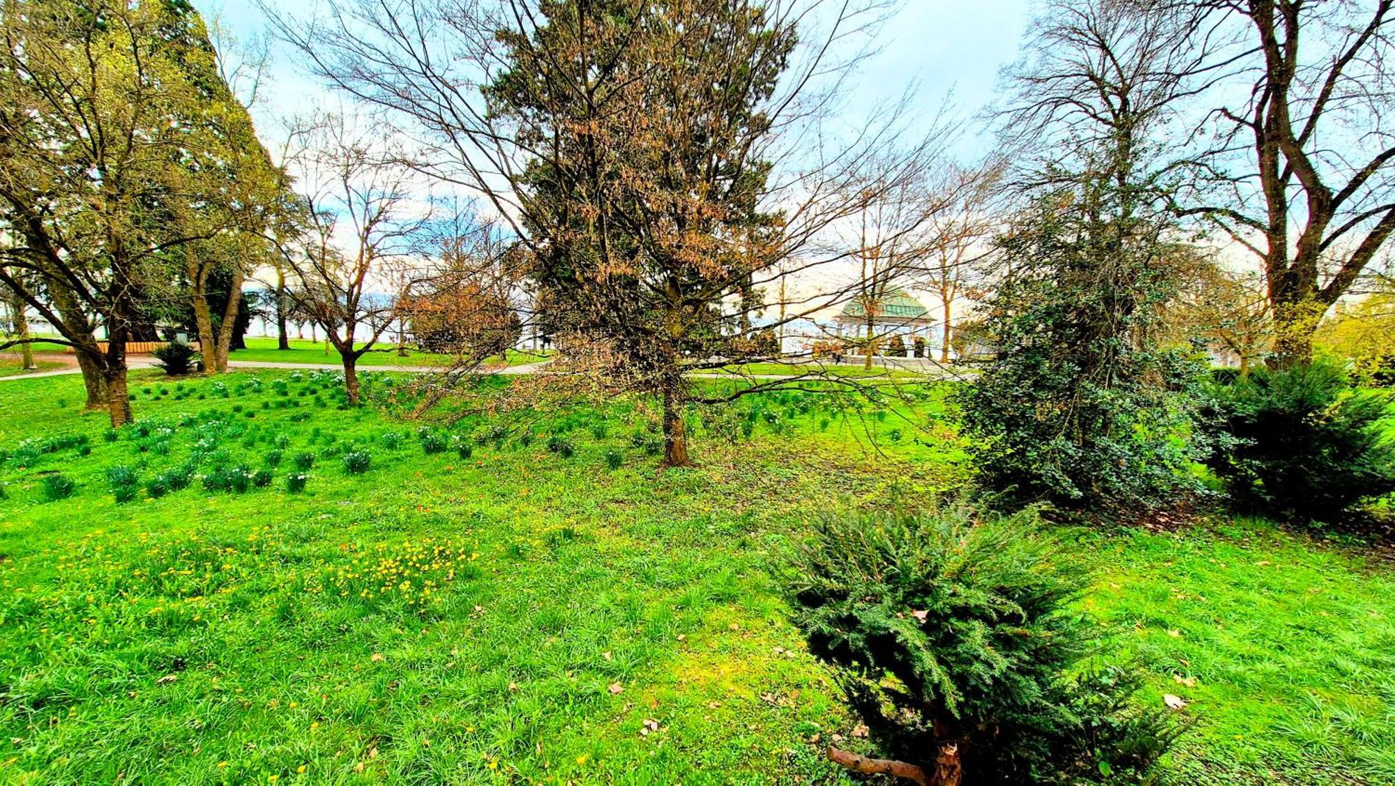 Bodensee Casa Graf * Friedrichshafen